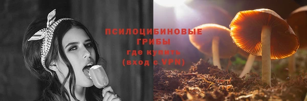 а пвп мука Алзамай