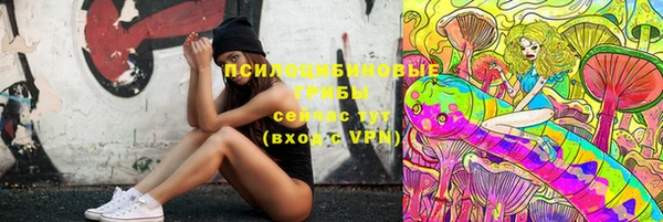 прущие грибы Алексеевка