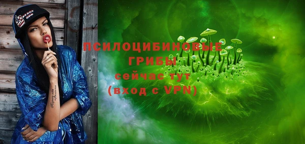 а пвп мука Алзамай