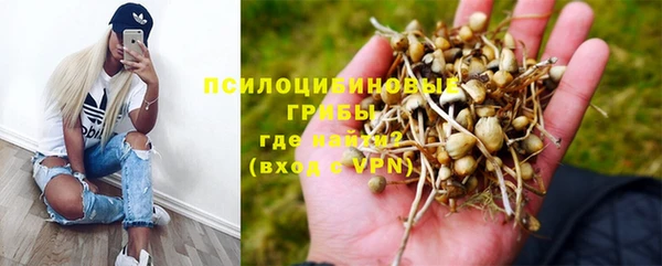 стаф Абдулино